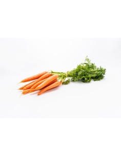 Raw Carrot 1kg