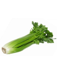 Celery Green 1Kg